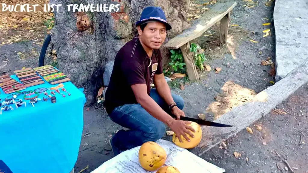 Coconut Vendor opening coconut with machete at Ojo de Agua Bus Stop Ometepe Island Nicaragua