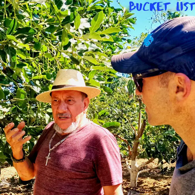 Avocado Farm Tour Salcoatitan El Salvador