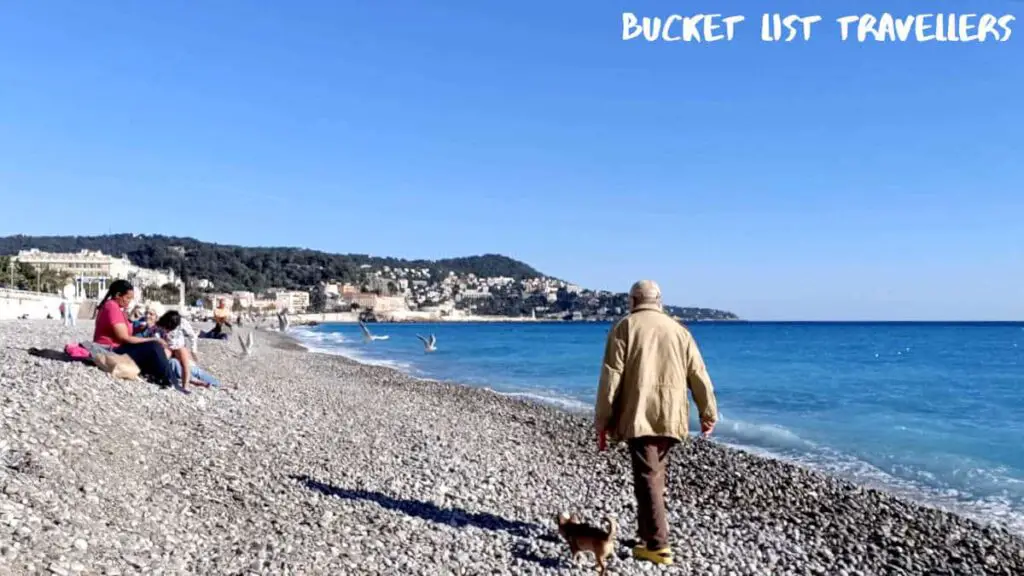 Man walking dog along Beach Nice France, pebble beach with cobalt blue Mediterranean Sea, people sitting on beach, seagulls mid-flight