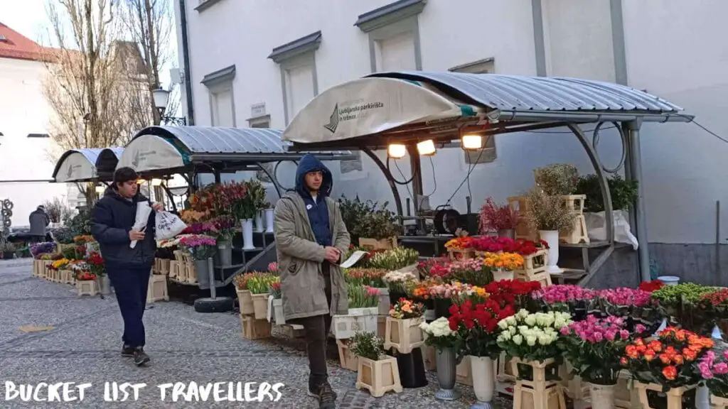 Flower Vendors Central Market Ljubljana Slovenia