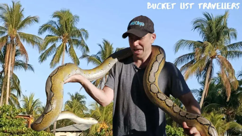 El Salvador Man Holding Snake