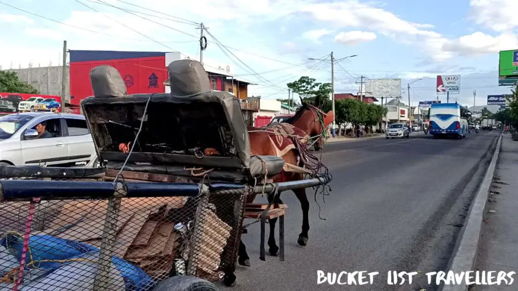 Horse and Cart Esteli Nicaragua