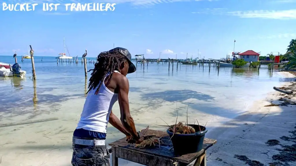 Lobster by the Beach Caye Caulker Belize