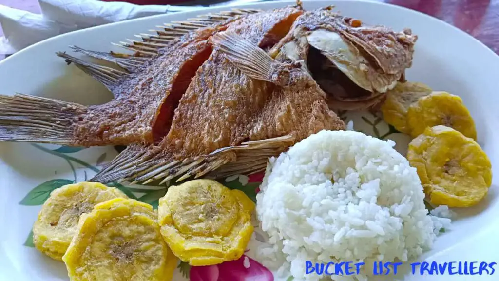Fish-Restaurante Mirador Cocibolca Ometepe Island Nicaragua, grilled fish with tostones and rice